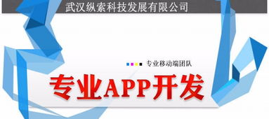 武漢縱索App開(kāi)發(fā)外包公司 專業(yè)辦公系統(tǒng)軟件開(kāi)發(fā)定制與軟件外包服務(wù)